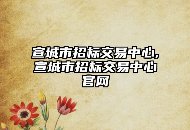 宣城市招標交易中心,宣城市招標交易中心官網(wǎng)