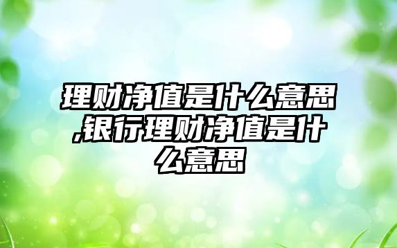 理財凈值是什么意思,銀行理財凈值是什么意思