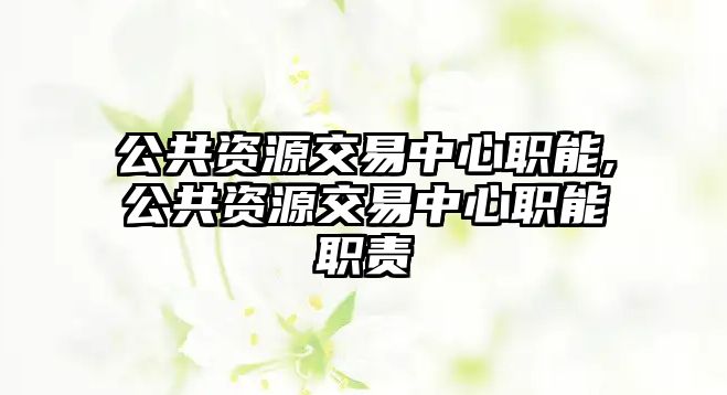 公共資源交易中心職能,公共資源交易中心職能職責