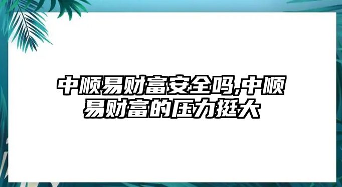 中順易財(cái)富安全嗎,中順易財(cái)富的壓力挺大