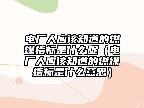 電廠人應(yīng)該知道的燃煤指標是什么呢（電廠人應(yīng)該知道的燃煤指標是什么意思）