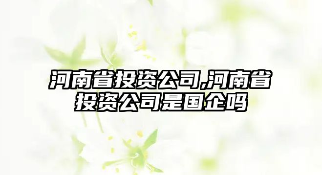 河南省投資公司,河南省投資公司是國(guó)企嗎