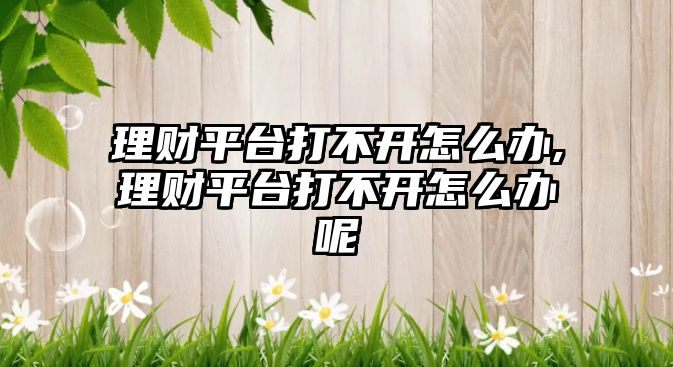 理財(cái)平臺打不開怎么辦,理財(cái)平臺打不開怎么辦呢