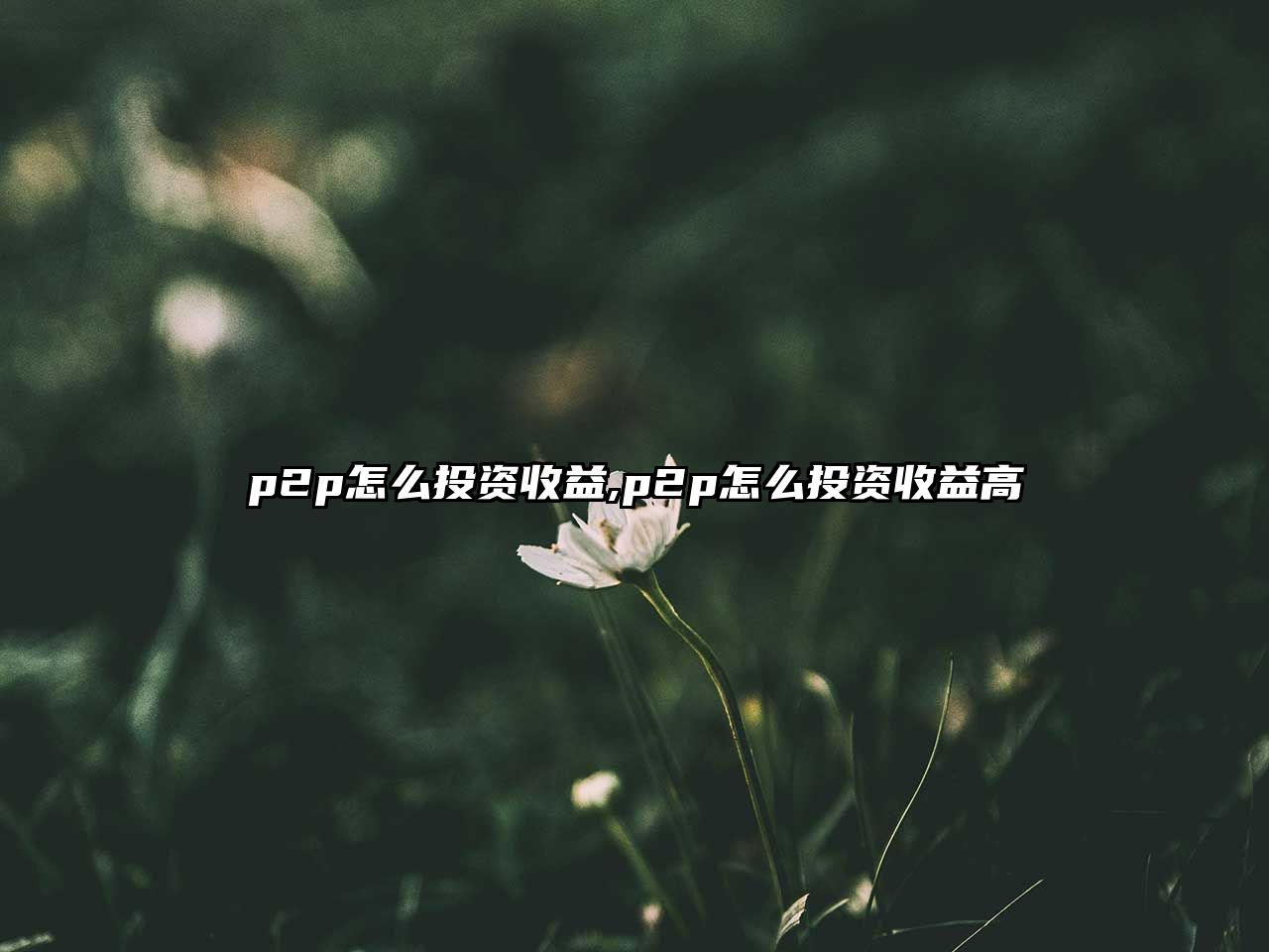 p2p怎么投資收益,p2p怎么投資收益高