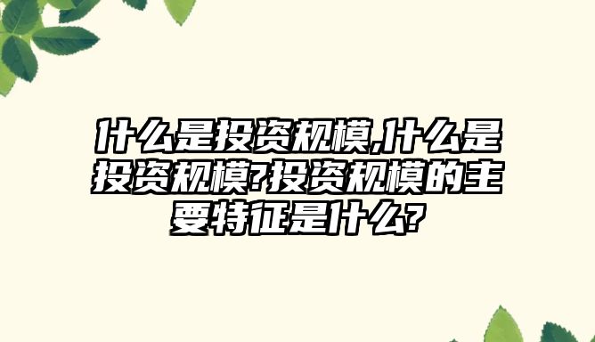 什么是投資規(guī)模,什么是投資規(guī)模?投資規(guī)模的主要特征是什么?