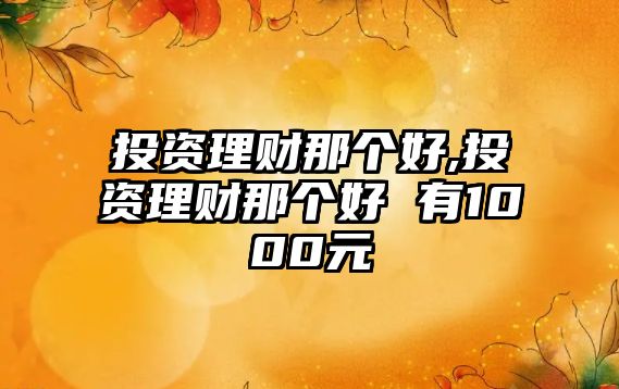 投資理財(cái)那個(gè)好,投資理財(cái)那個(gè)好 有1000元