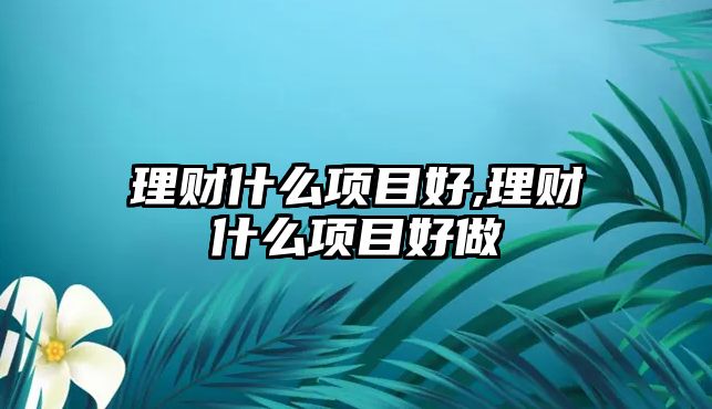 理財什么項目好,理財什么項目好做