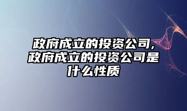 政府成立的投資公司,政府成立的投資公司是什么性質(zhì)