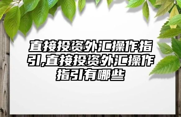 直接投資外匯操作指引,直接投資外匯操作指引有哪些