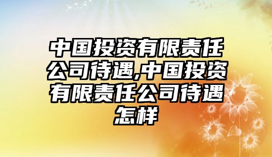 中國投資有限責(zé)任公司待遇,中國投資有限責(zé)任公司待遇怎樣