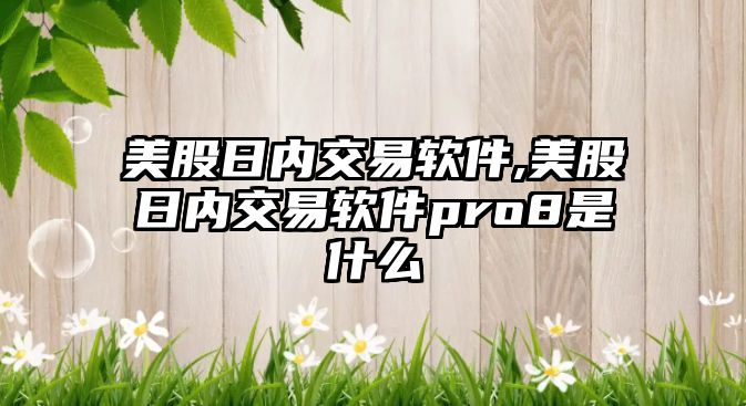 美股日內(nèi)交易軟件,美股日內(nèi)交易軟件pro8是什么