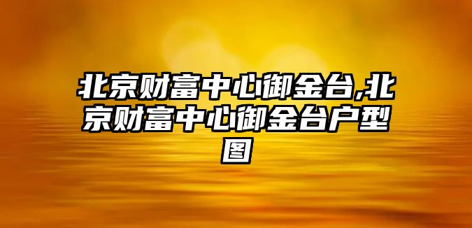 北京財富中心御金臺,北京財富中心御金臺戶型圖