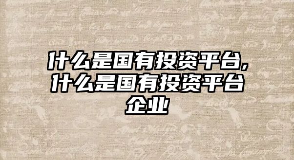 什么是國(guó)有投資平臺(tái),什么是國(guó)有投資平臺(tái)企業(yè)