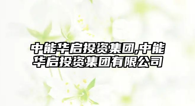 中能華啟投資集團,中能華啟投資集團有限公司