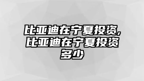 比亞迪在寧夏投資,比亞迪在寧夏投資多少