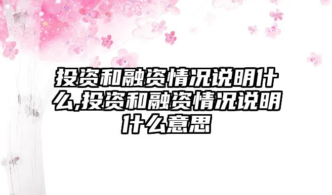 投資和融資情況說(shuō)明什么,投資和融資情況說(shuō)明什么意思