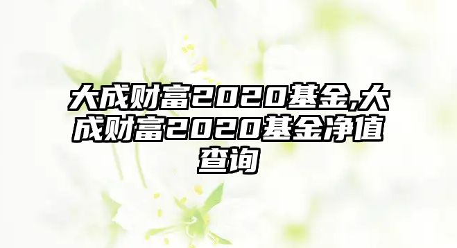 大成財富2020基金,大成財富2020基金凈值查詢