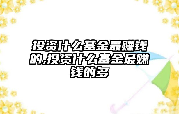 投資什么基金最賺錢的,投資什么基金最賺錢的多