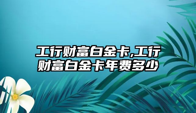 工行財(cái)富白金卡,工行財(cái)富白金卡年費(fèi)多少