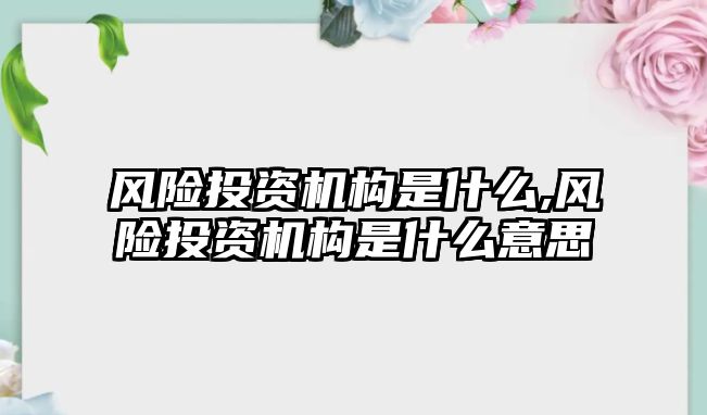 風險投資機構是什么,風險投資機構是什么意思