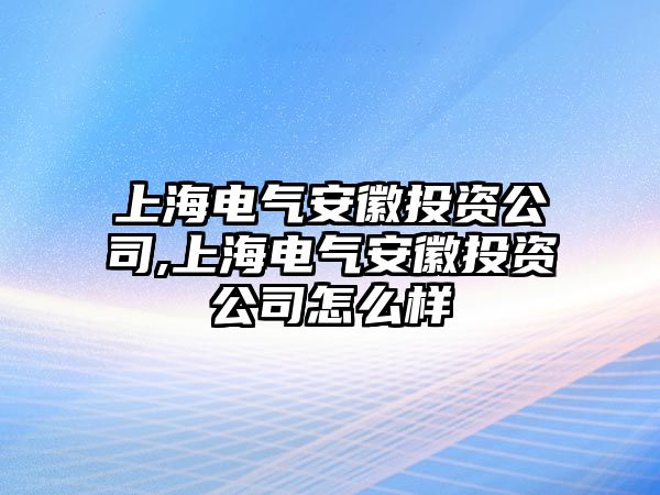 上海電氣安徽投資公司,上海電氣安徽投資公司怎么樣