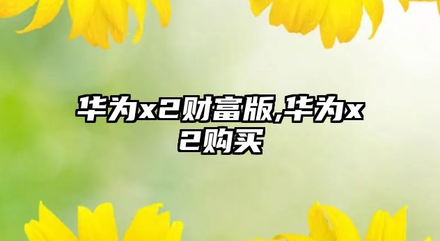 華為x2財(cái)富版,華為x2購(gòu)買