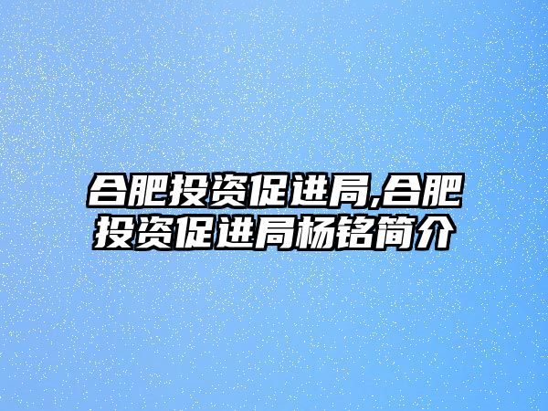 合肥投資促進局,合肥投資促進局楊銘簡介