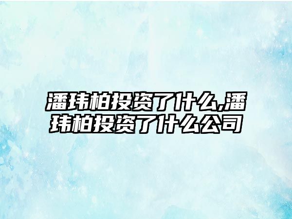 潘瑋柏投資了什么,潘瑋柏投資了什么公司