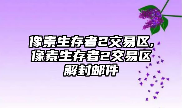 像素生存者2交易區(qū),像素生存者2交易區(qū)解封郵件