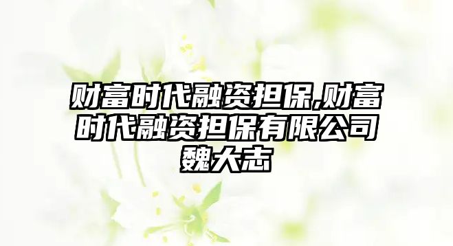 財富時代融資擔保,財富時代融資擔保有限公司魏大志