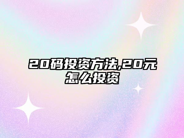 20碼投資方法,20元怎么投資