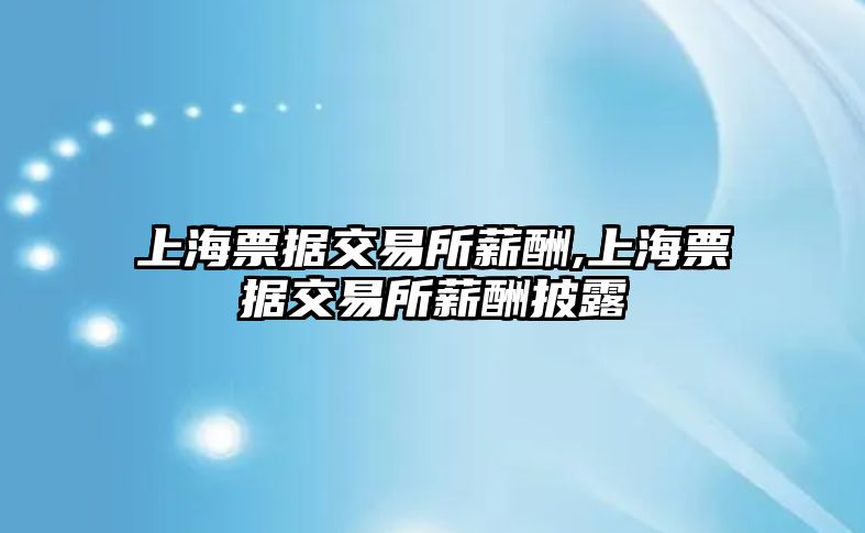 上海票據(jù)交易所薪酬,上海票據(jù)交易所薪酬披露