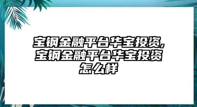 寶鋼金融平臺(tái)華寶投資,寶鋼金融平臺(tái)華寶投資怎么樣