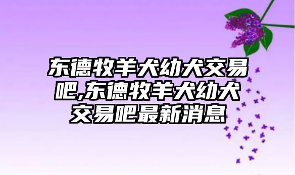 東德牧羊犬幼犬交易吧,東德牧羊犬幼犬交易吧最新消息