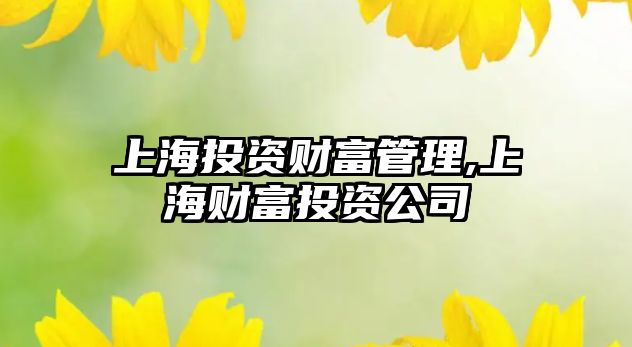 上海投資財富管理,上海財富投資公司