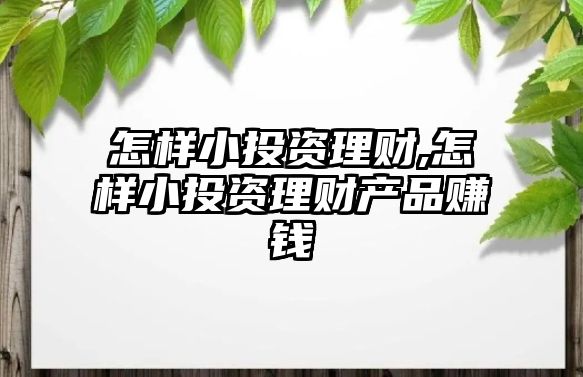 怎樣小投資理財,怎樣小投資理財產(chǎn)品賺錢