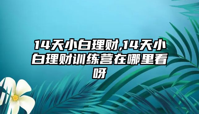 14天小白理財(cái),14天小白理財(cái)訓(xùn)練營在哪里看呀