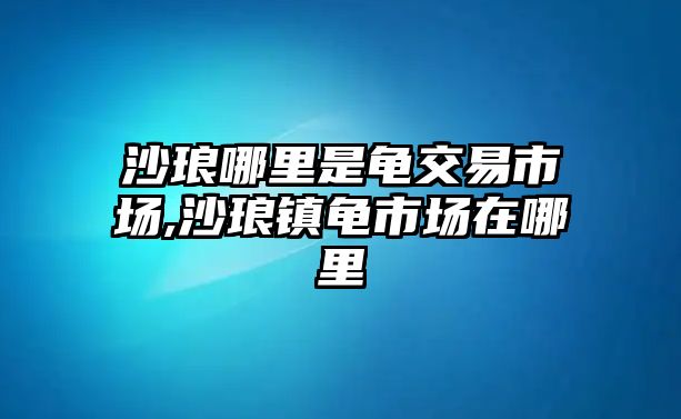 沙瑯哪里是龜交易市場,沙瑯鎮(zhèn)龜市場在哪里