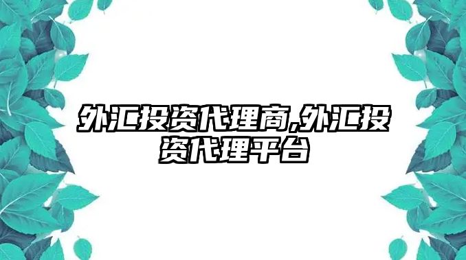 外匯投資代理商,外匯投資代理平臺(tái)