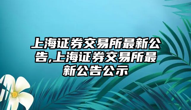 上海證券交易所最新公告,上海證券交易所最新公告公示