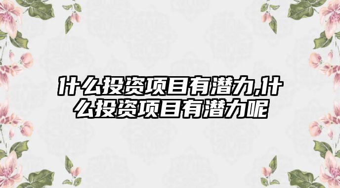 什么投資項目有潛力,什么投資項目有潛力呢